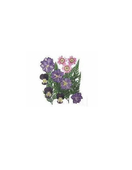 Paquete de flores secas prensadas naturales azul Neo Bisutería