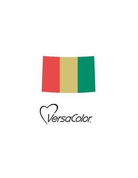 ALMOHADILLA DE TINTA VERSACOLOR EN 3 COLORES DIFERENTES 95 X 65 MM
