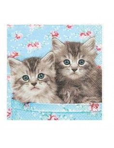 Servilleta gatitos