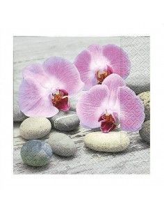 Servilleta orquideas en piedras