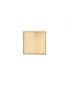 LIENZO DE MADERA DE 25 X 50