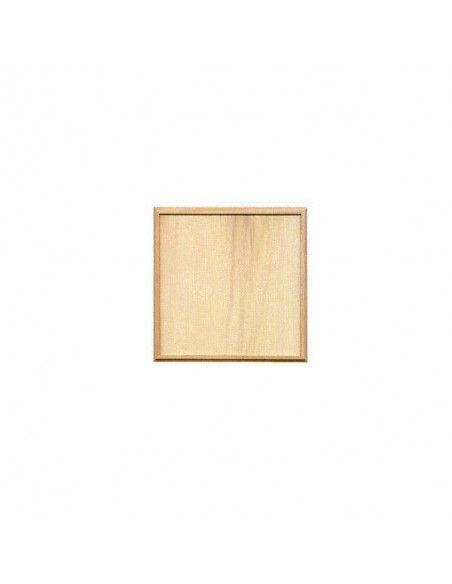 LIENZO DE MADERA DE 25 X 50