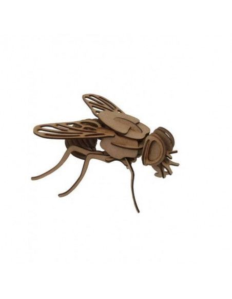 ALBUM MOSCA CON MAQUETA 3D 1PL D2