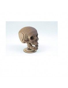 MAQUETA DE CALAVERA HUMANA