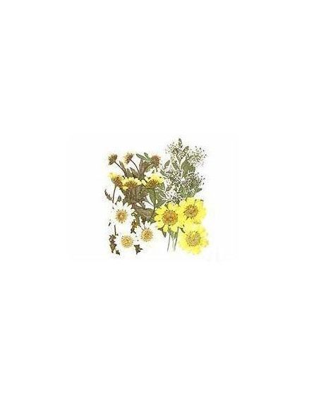 FLORES SECA PRENSADAS PARA DECORAR POUPURRI 1