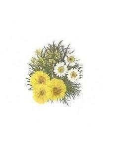 FLORES SECA PRENSADAS PARA DECORAR POUPURRI 5
