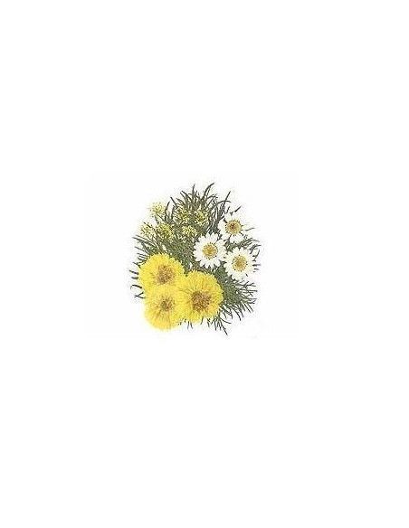 FLORES SECA PRENSADAS PARA DECORAR POUPURRI 5