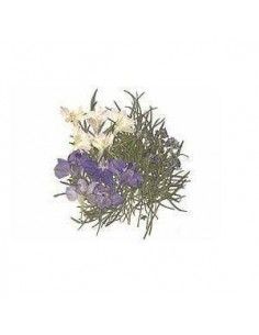 FLORES SECA PRENSADAS PARA DECORAR POUPURRI 8
