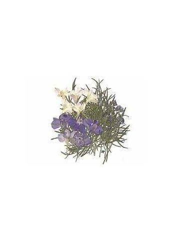 FLORES SECA PRENSADAS PARA DECORAR POUPURRI 8