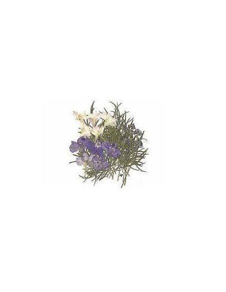 FLORES SECA PRENSADAS PARA DECORAR POUPURRI 8
