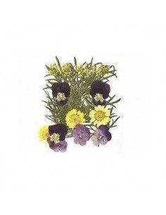 FLORES SECA PRENSADAS PARA DECORAR POUPURRI 10