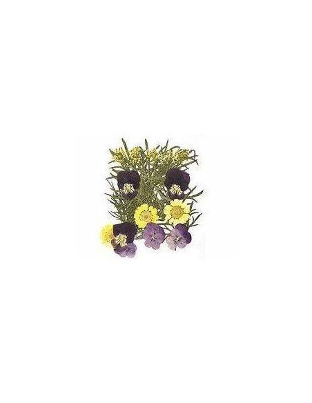 FLORES SECA PRENSADAS PARA DECORAR POUPURRI 10