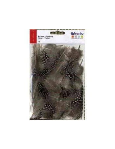 PLUMAS PARA SCRAPBOOKING PAQUETE DE 3 GR PUNTOS