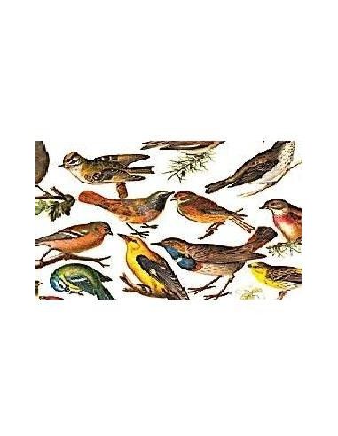 Papel decoupage con un tamaño de 50 x...