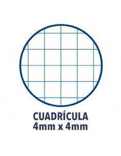 Recambio folio cuadricula...
