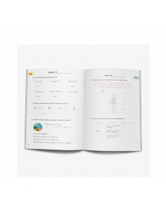Cuaderno rubio vacaciones... 2