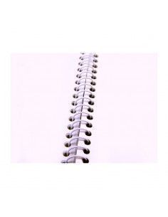 Pack de 10o espirales... 2