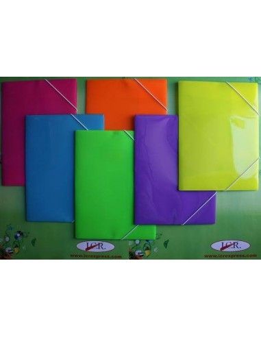 Carpeta con 3 solapas A4 elegante y resistente