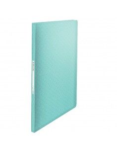 Carpeta con fundas fijas Esselte ideal para oficina