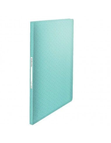 Carpeta con fundas fijas Esselte ideal para oficina