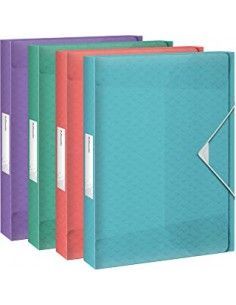 Carpeta proyectos Esselte...