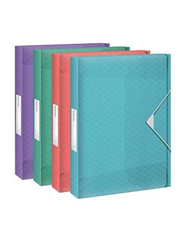 Carpeta proyectos Esselte Colour'Ice...