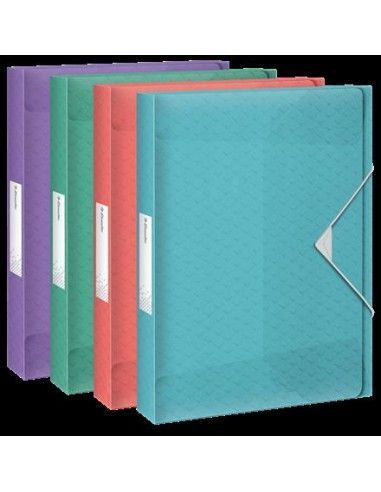 CARPETA DE PROYECTOS CON CAPACIDAD...