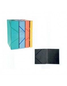 Carpeta profesional cartón gran capacidad formato folio