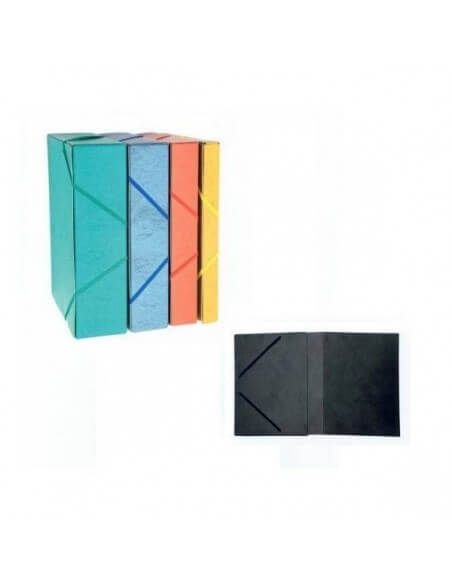 Carpeta profesional cartón gran capacidad formato folio