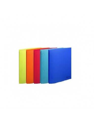 CARPETA A4 4 TALADROS LINOCOLOR