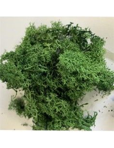 MUSGO POLAR VERDE BOLSA DE...