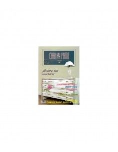 REVISTA CHALKY PAINT