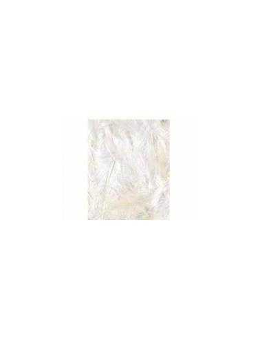 PLUMAS PARA SCRAPBOOKING PAQUETE DE 3...