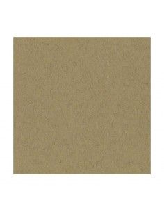 PAPEL TEXTURA KRAFT 217 GR....