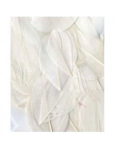 Plumas 3G Artemio