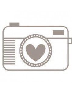 ARTEMIO STAMP B CAMERA