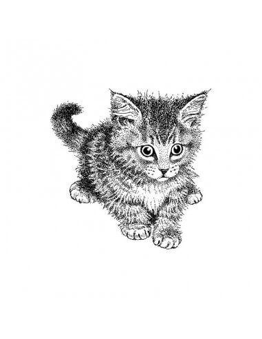 ARTEMIO SELLO E GATO