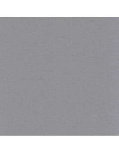 BAZZILL PAPEL MONOCHROMATIC CIND