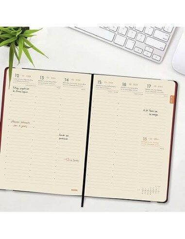 AGENDA LISA FA5 2024 COLOR ROJO
