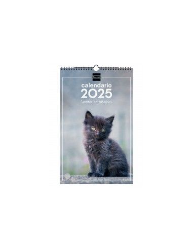 CALENDARIO DE  PARED 2025 TEMÁTICA...