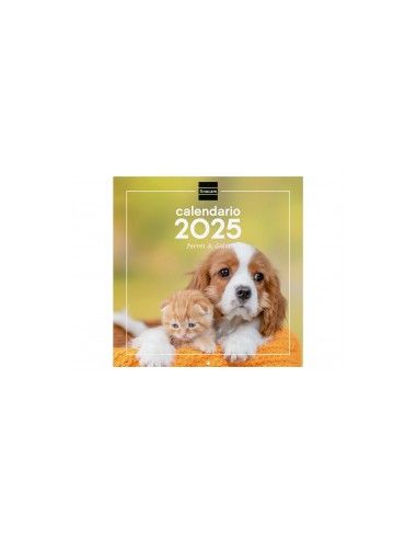 CALENDARIO DE PARED 30X30 AÑO 2025...