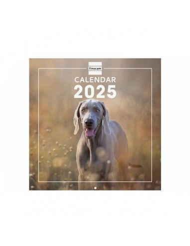 CALENDARIO 30X30 2025 DOGS INTL