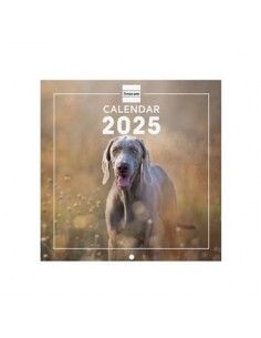 CALENDARIO 18X18 2025 DOGS...