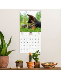 CALENDARIO DE PARED 30X30... 2