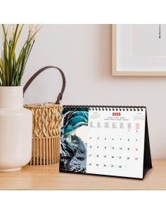 CALENDARIOS 2025 NATURE INTL 2
