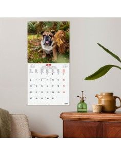 CALENDARIO 30X30 2025 DOGS... 2