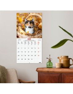 Calendario Imágenes Pared 2025 2