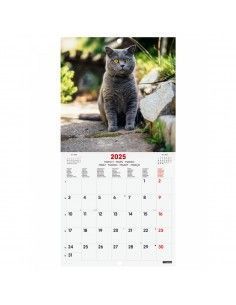 Calendario Imágenes Pared 2