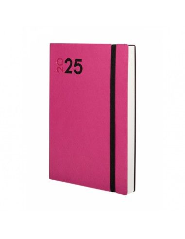 MARA Y10 1DP 2025 FUCSIA