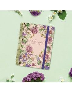AGENDA CLOE E10 1DP 2025 ROSA+ 2